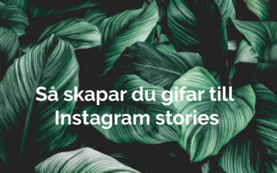 Fullständig guide: skapa gif:ar till Instagram stories